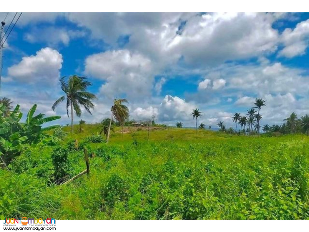 SOUTHVILLE RESIDENCES Ronda Cebu lot for sale