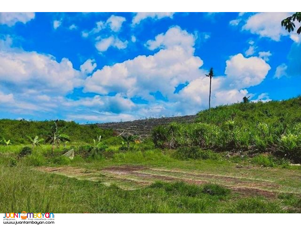 SOUTHVILLE RESIDENCES Ronda Cebu lot for sale