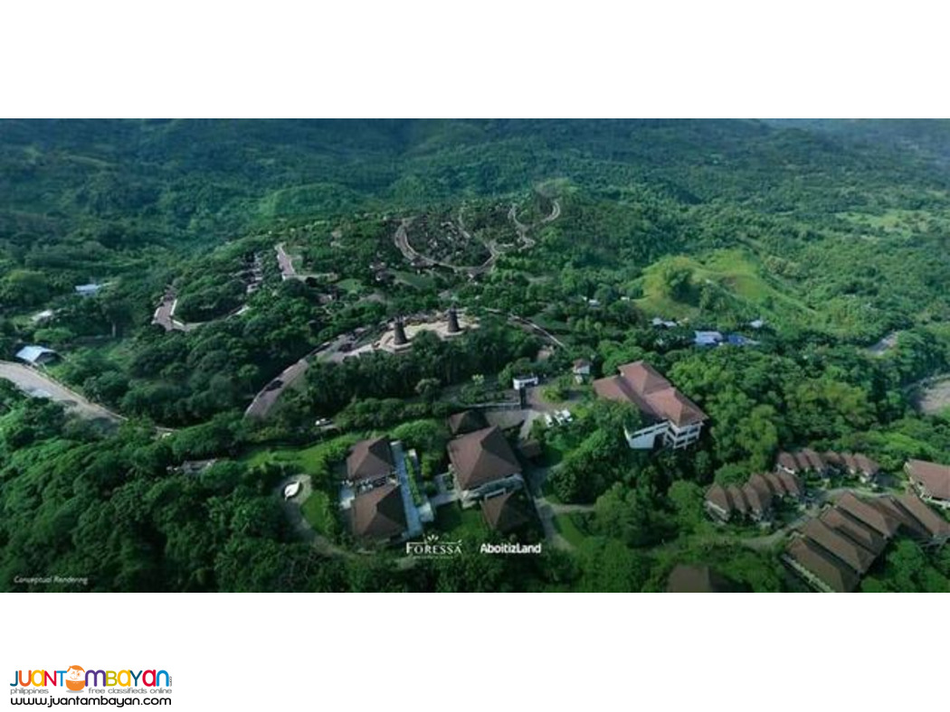 LOT FOR SALE FORESSA MOUNTAIN TOWN BALAMBAN CEBU BY ABOITIZLAND