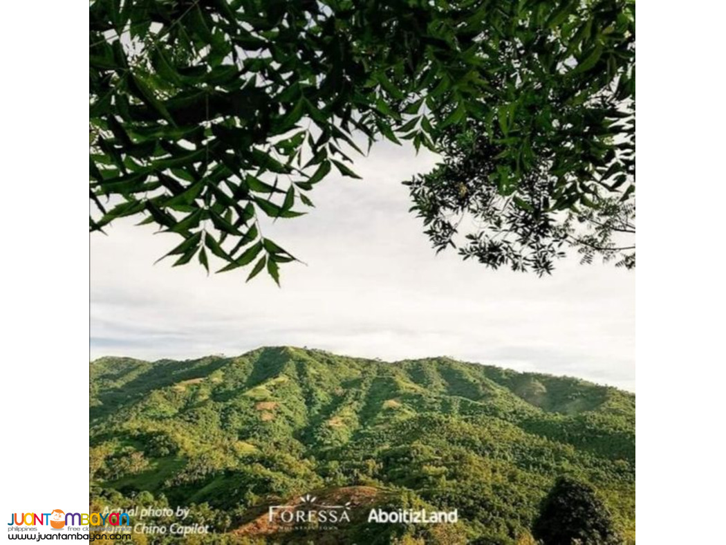 LOT FOR SALE FORESSA MOUNTAIN TOWN BALAMBAN CEBU BY ABOITIZLAND