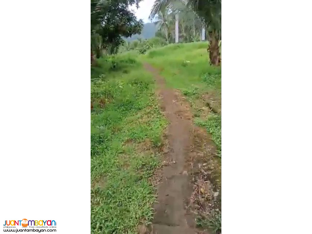 Agricultural land in siniloan laguna 4.7 hectares