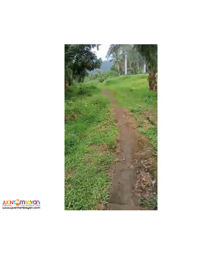 Agricultural land in siniloan laguna 4.7 hectares