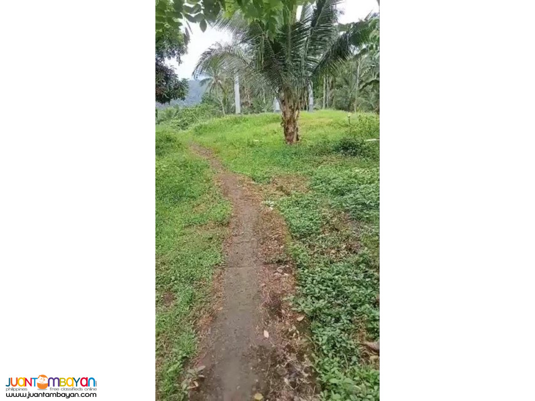 Agricultural land in siniloan laguna 4.7 hectares