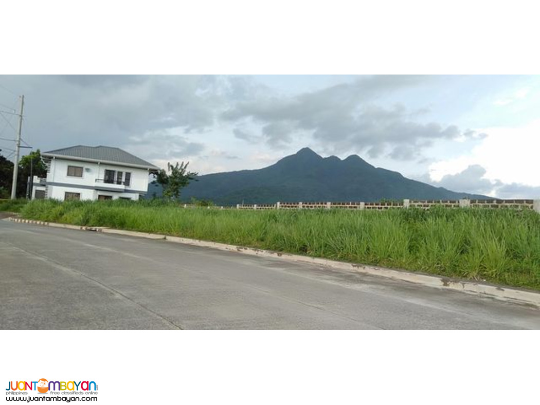 lot in Ponte Verde De Santo Tomas Batangas - 100i