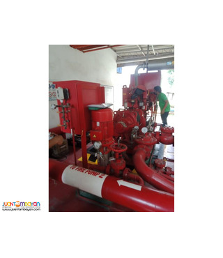 Pump conversion Service (from Packing to Shaft Seal)