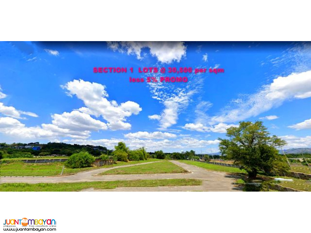 204 sqm Lot for Sale in Woodridge Concepcion Marikina