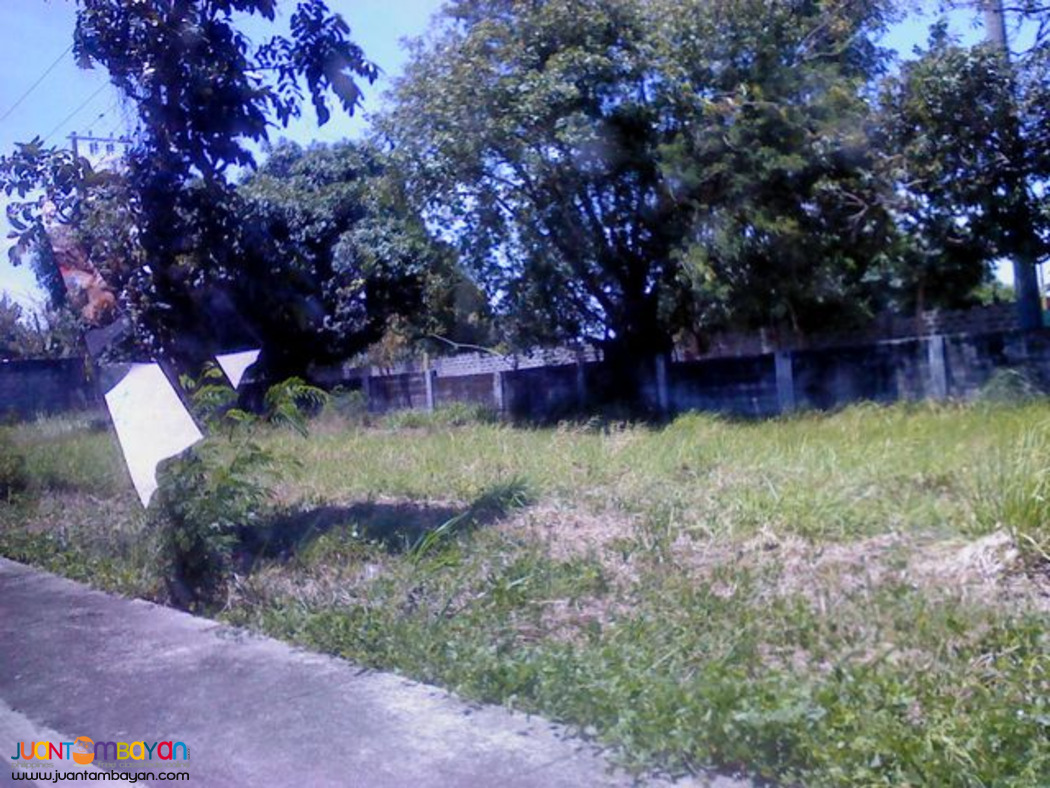 Vacant lot for sale in South plains Dasmarinas Cavite