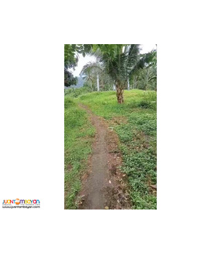 fARM agricultural  Lot for sale in LAGUNA SINILOAN 