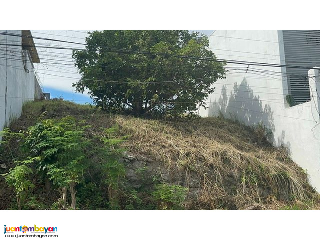 NICE VIEW  LOT FOR SALE PACIFIC HEIGHTS SUBD CANDULAWAN TALISAY CITY 