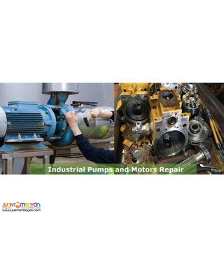 Electric Motor Rewinding