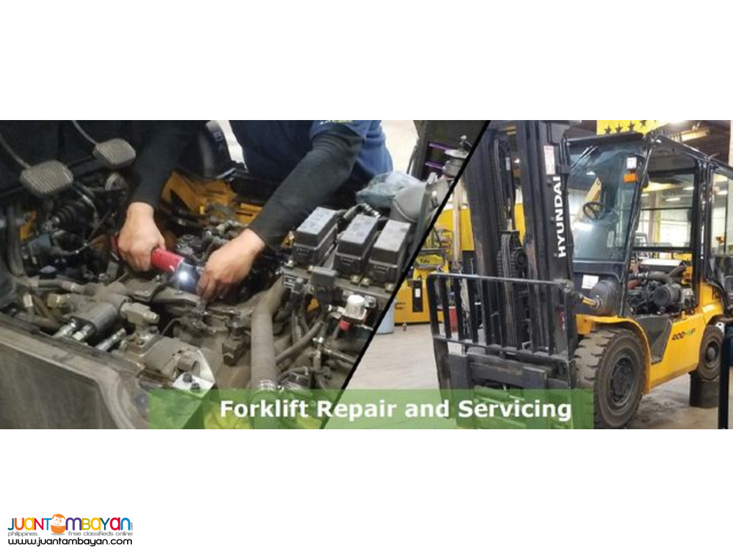 Electric Motor Rewinding