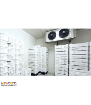Cold Storage Refrigeration Aircon Services