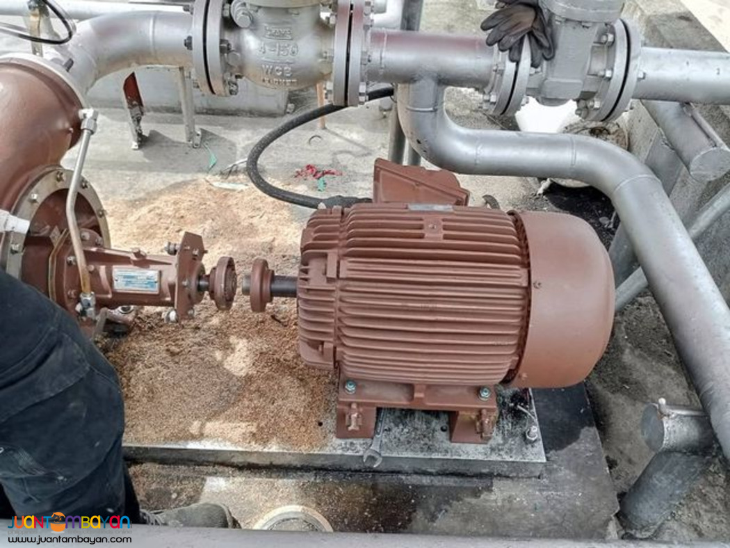 Pump Motor Servicing