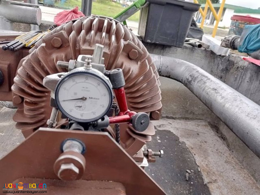 Pump Motor Servicing