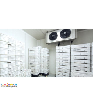 Servicing of COLD STORAGE, REFRIGERATION, AIRCON