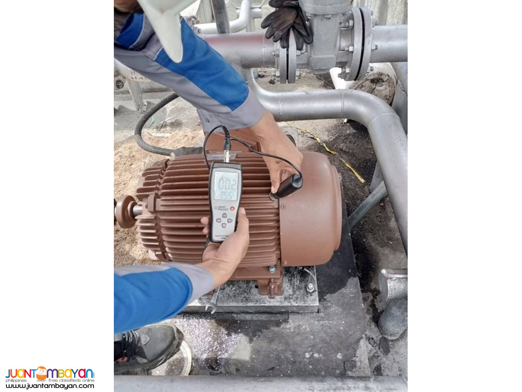 Electric Motor Servicing