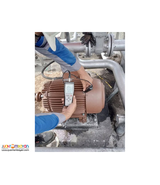 Electric Motor Servicing