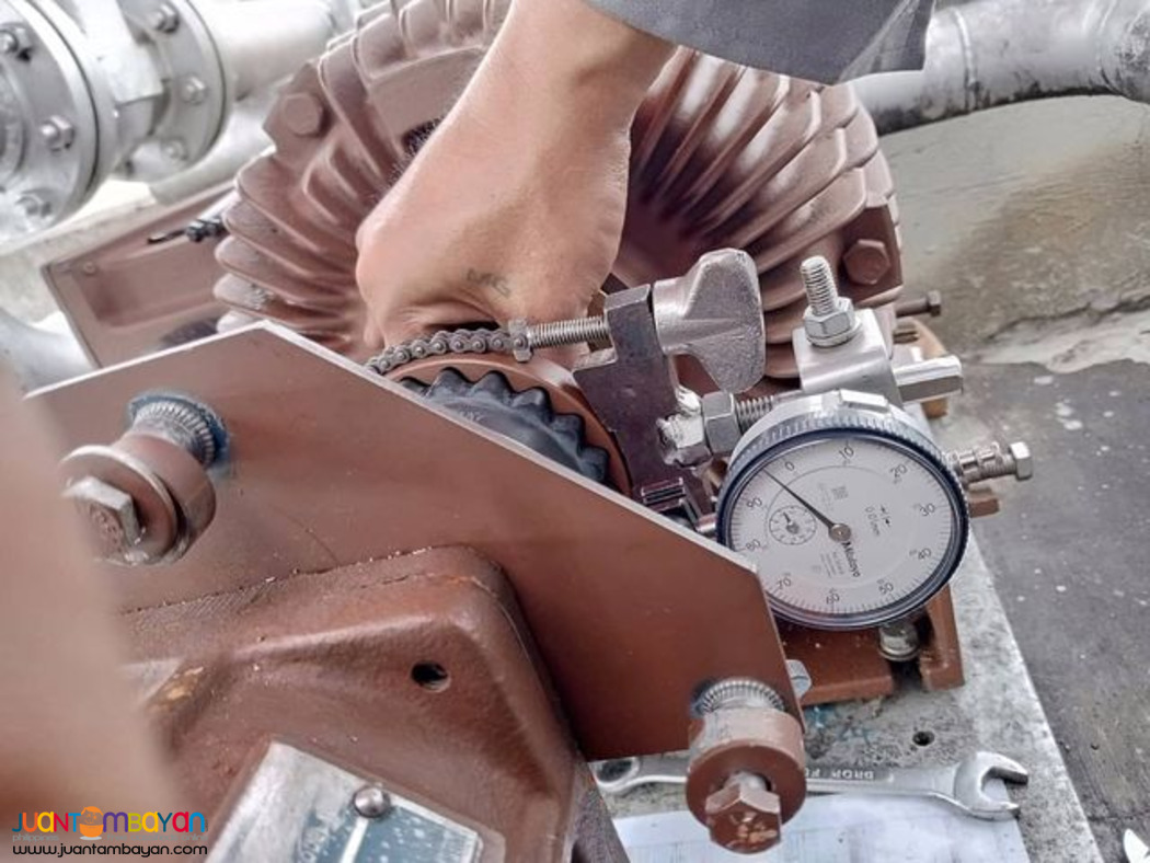 Electric Motor Servicing