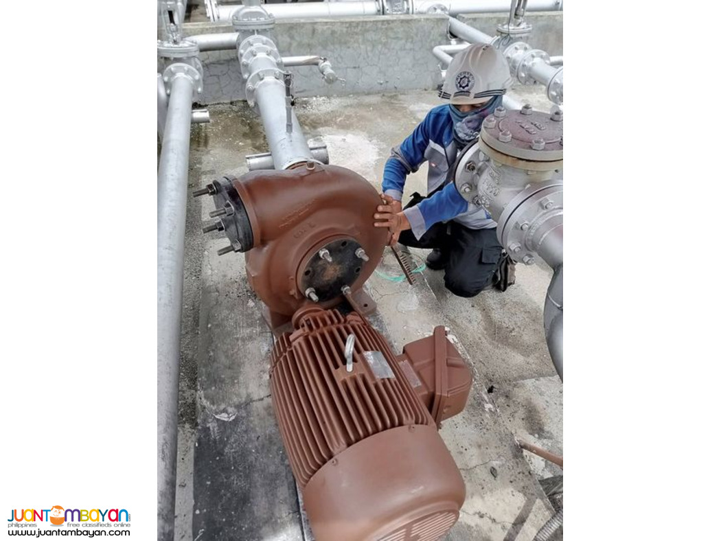 Electric Motor Servicing
