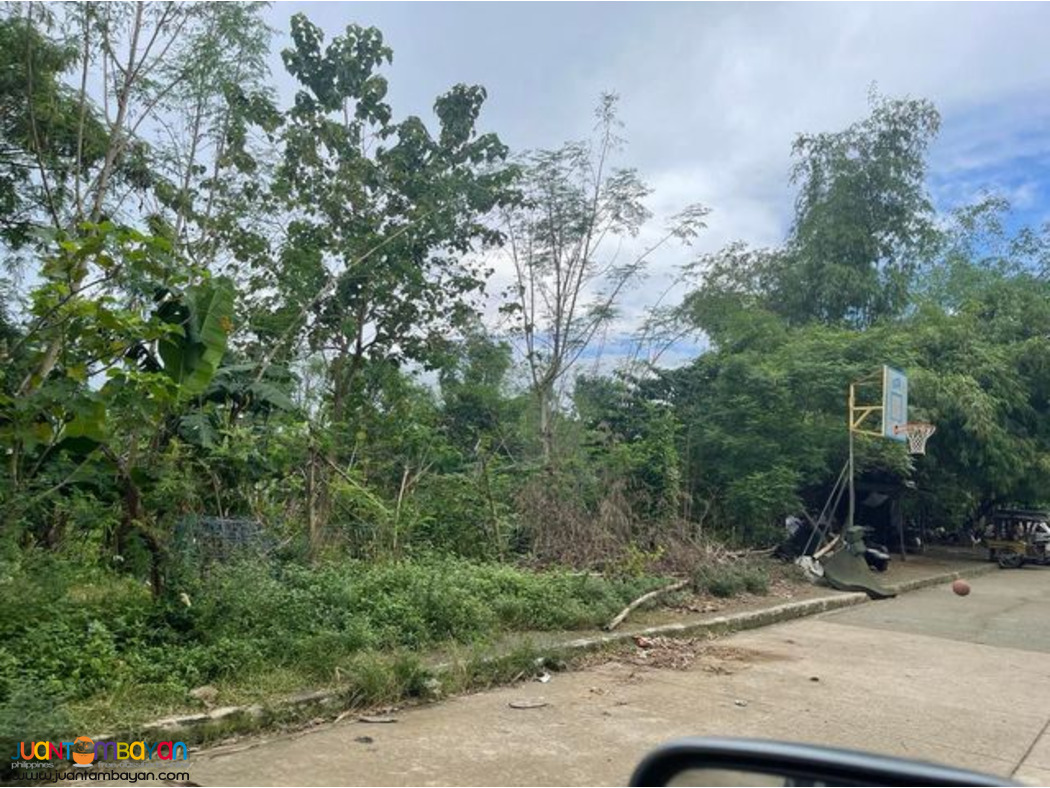 Vacant Lots Hillsdale Subdivision, Angono Rizal