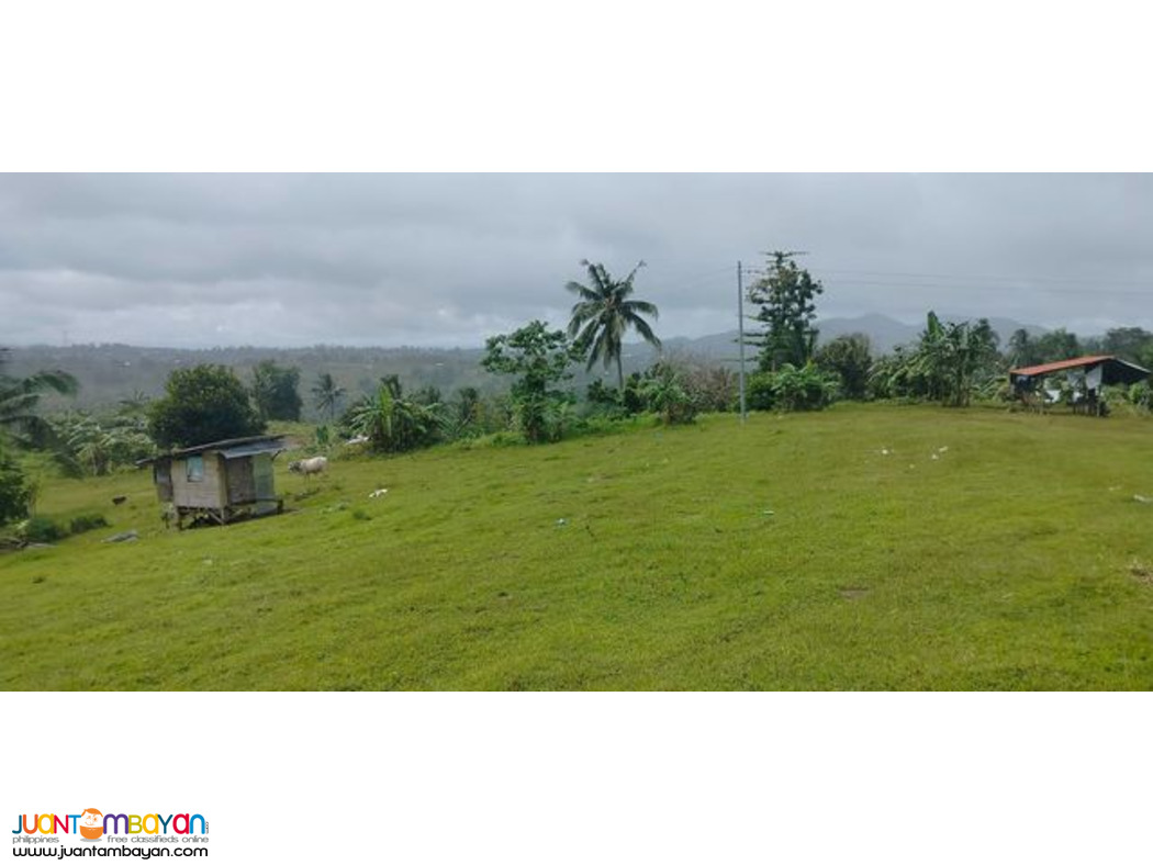 Lot for sale cebu philippines