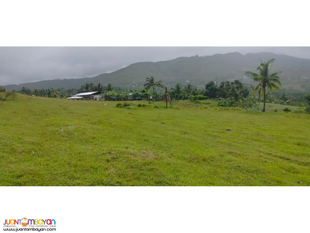 Lot for sale cebu philippines