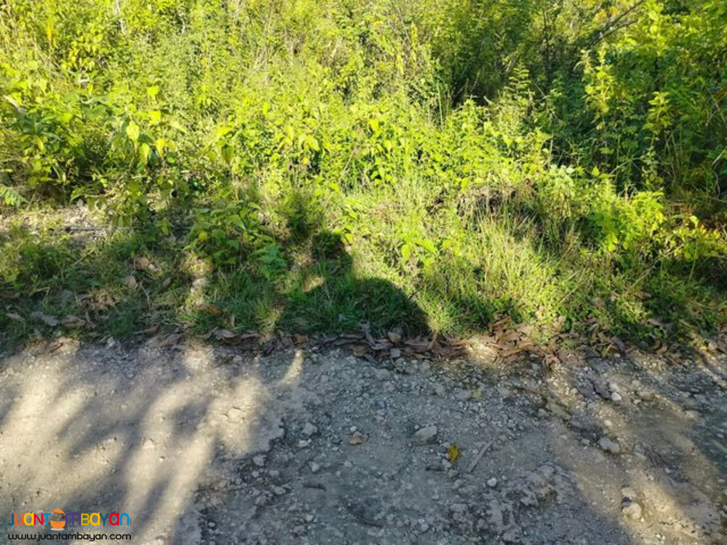 Lot for sale Anda Bohol Philippines near white sand beaches