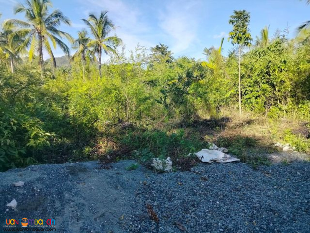 Lot for sale Anda Bohol Philippines near white sand beaches