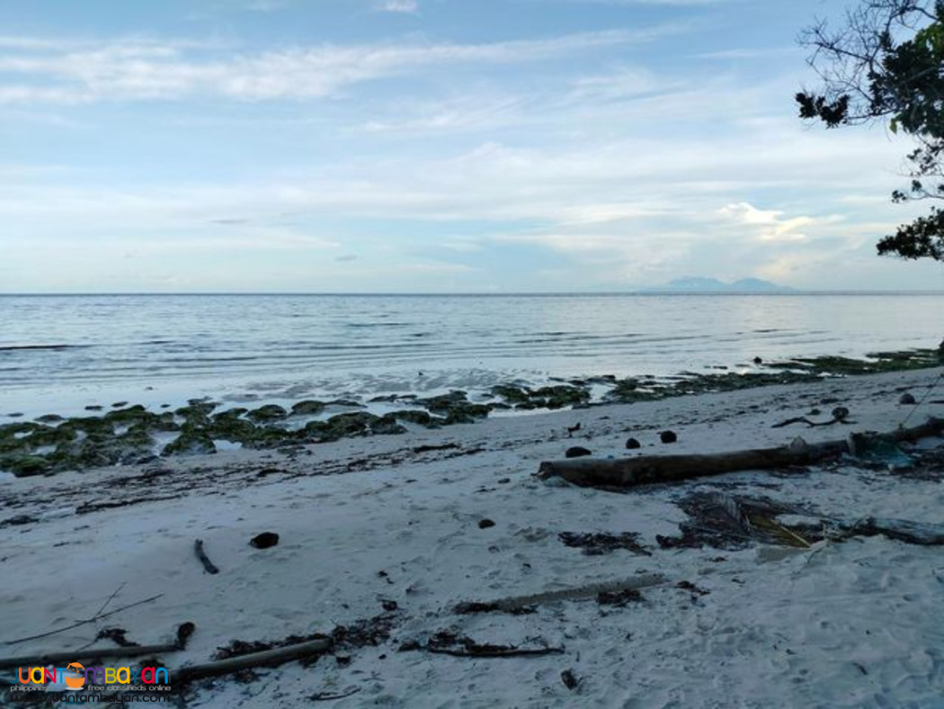 Beach lot for sale anda Bohol Philippines