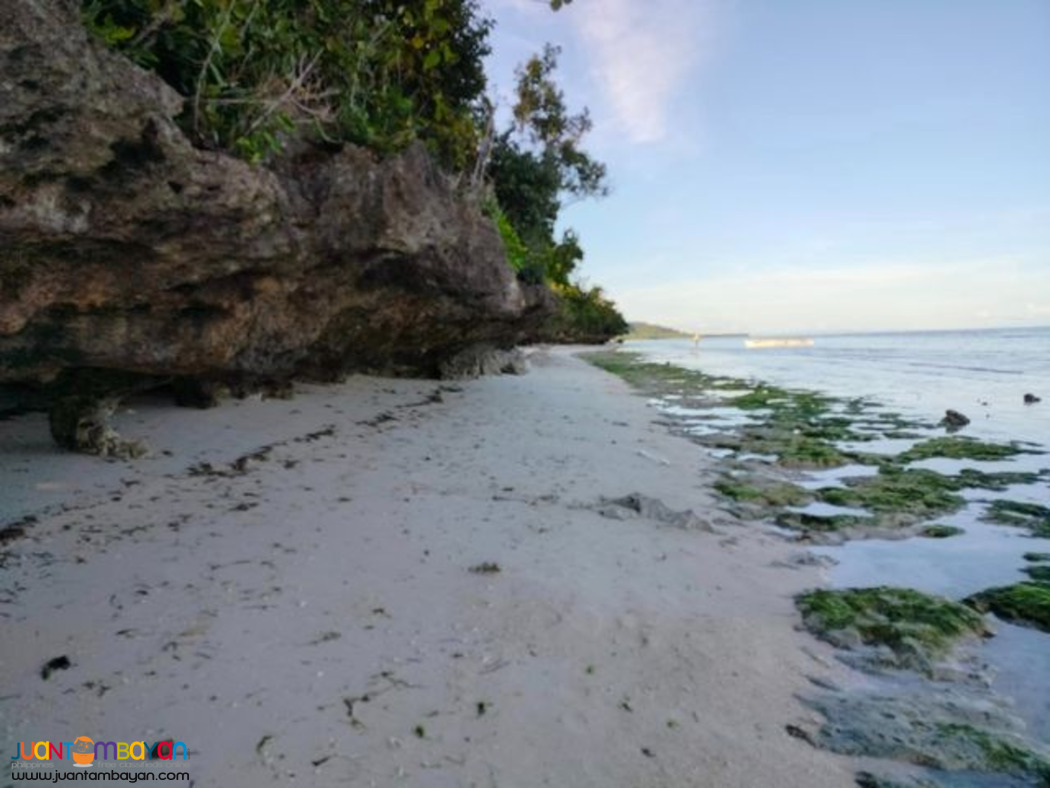 Beach lot for sale anda Bohol Philippines