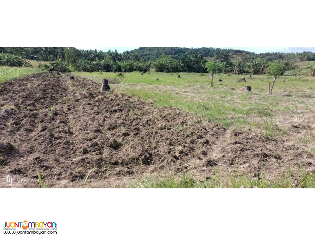 Lot for sale cebu philippines 150/sqm