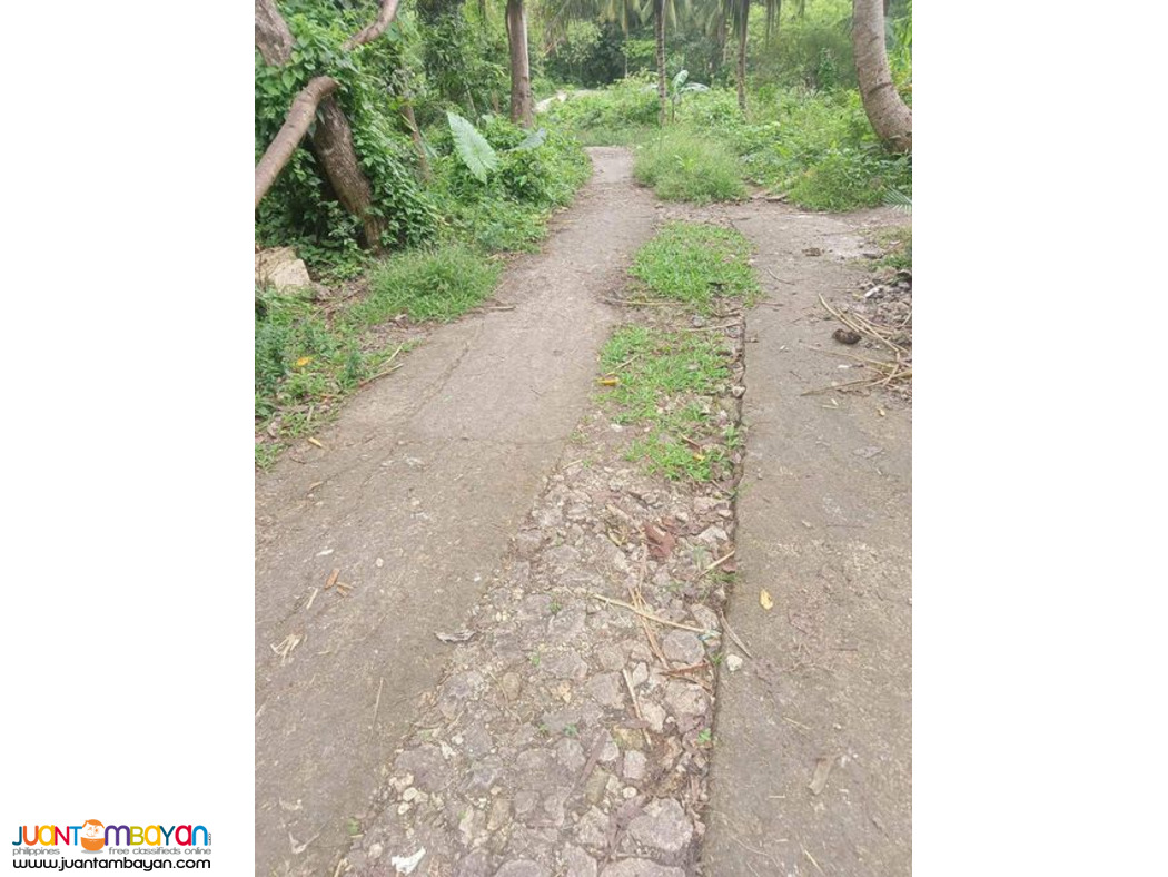 Lot for sale Carmen Cebu Philippines