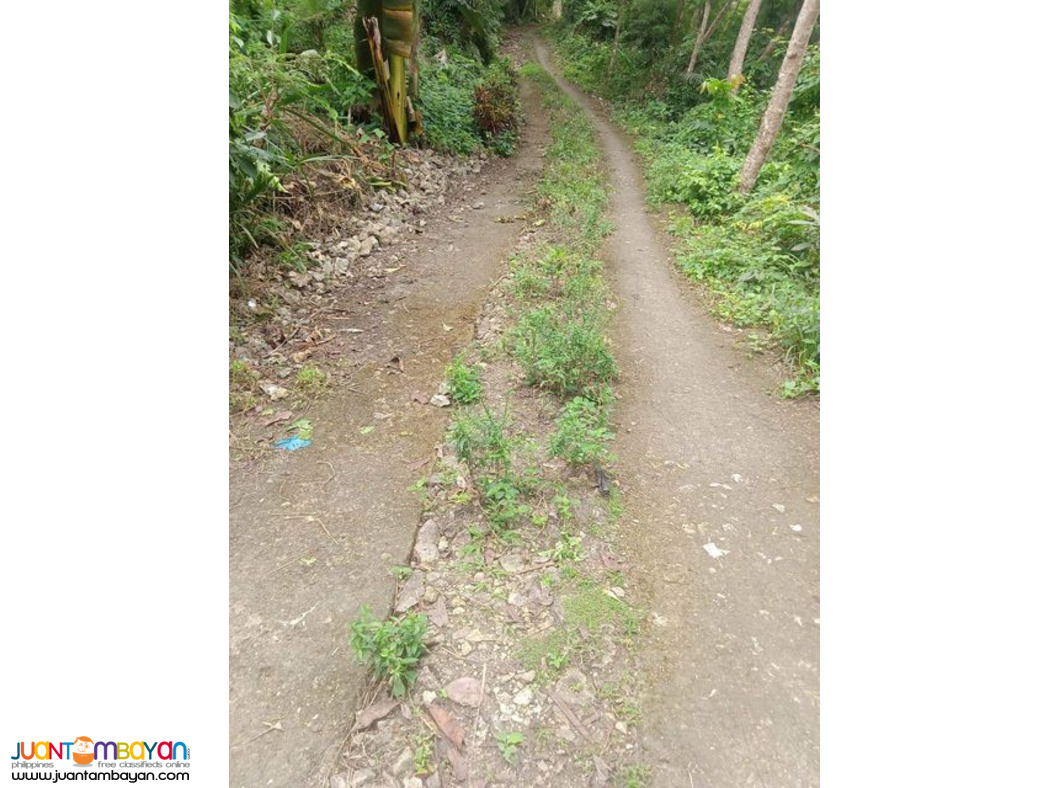 Lot for sale Carmen Cebu Philippines