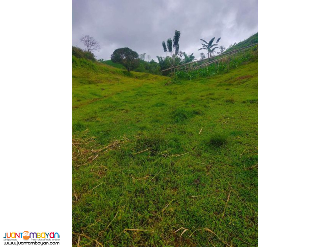 Lot for sale Cebu City Philippines 200/sqm