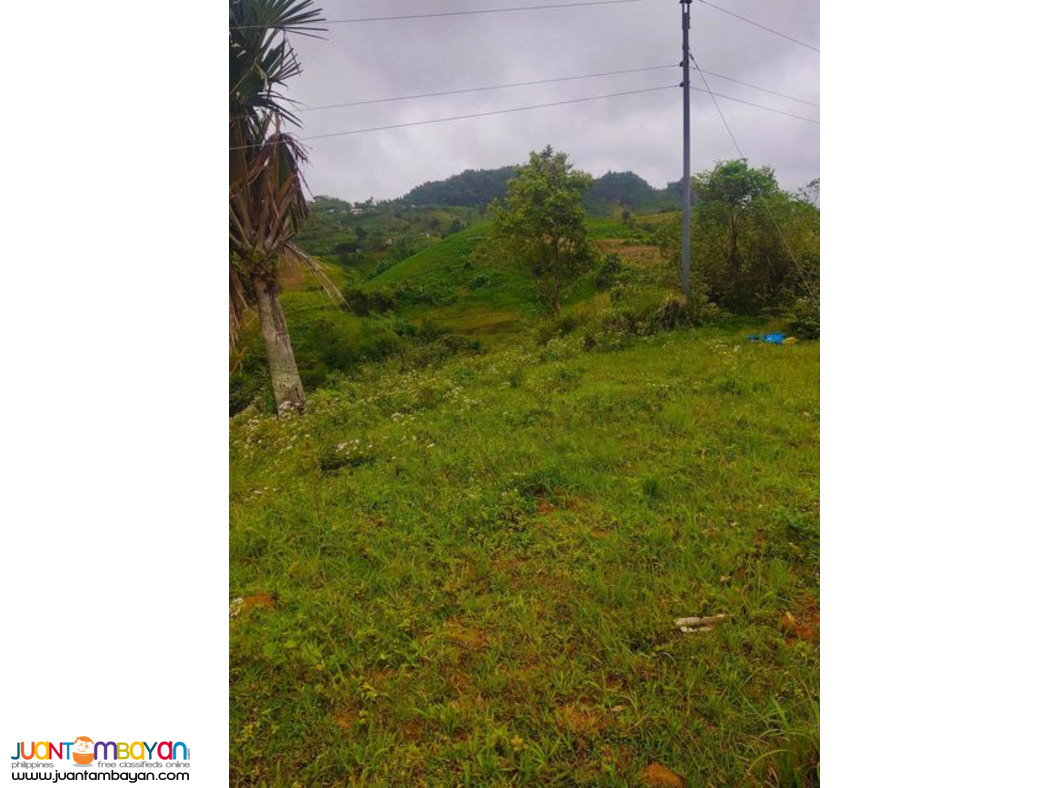 Lot for sale Cebu City Philippines 200/sqm