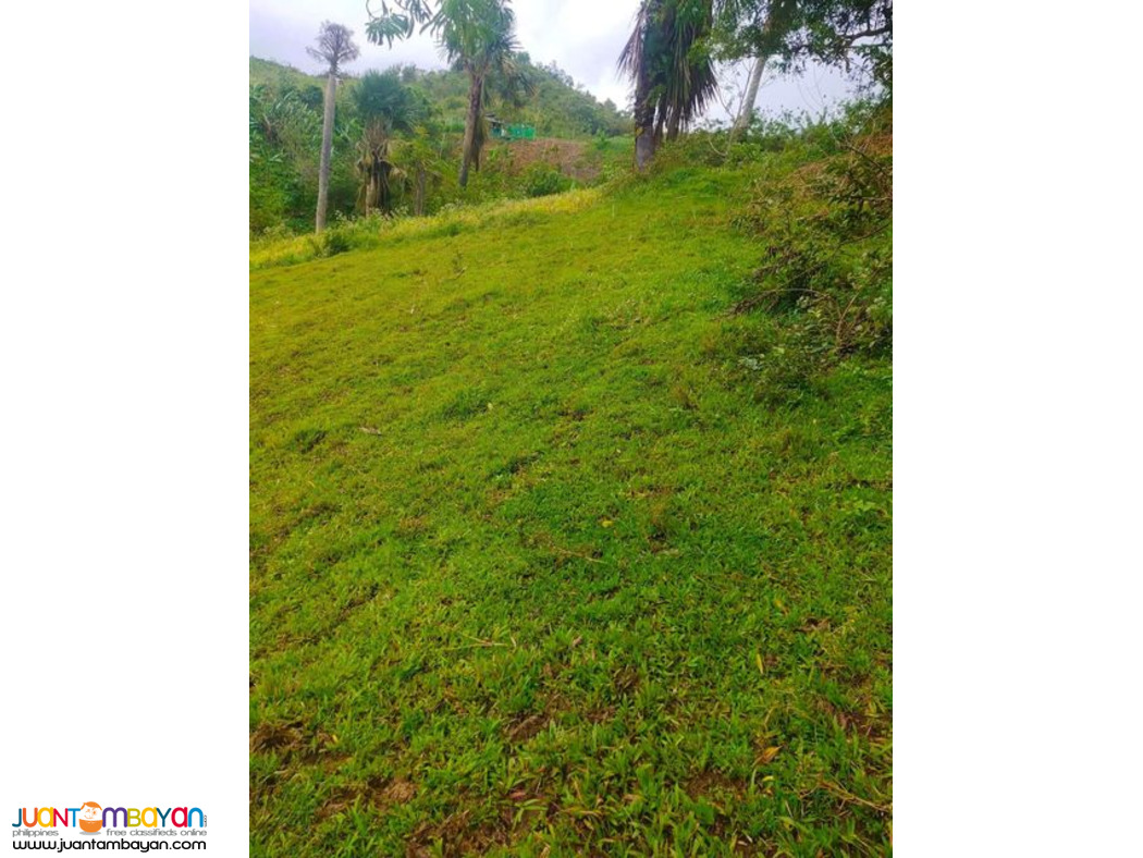 Lot for sale Cebu City Philippines 200/sqm