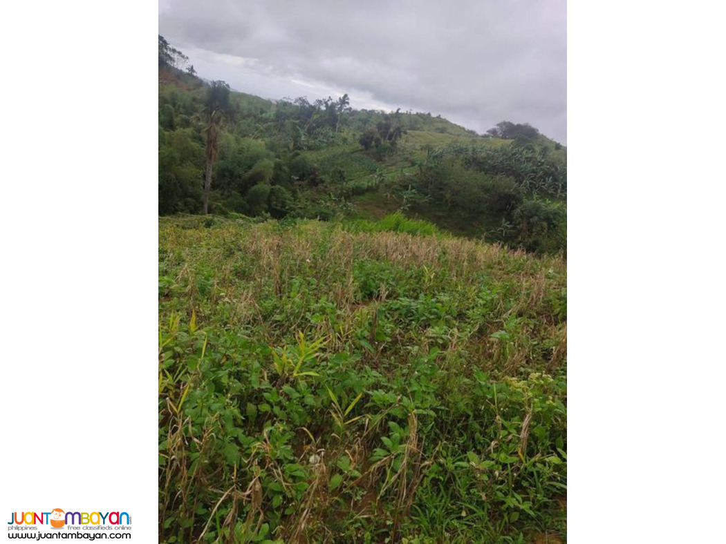 Lot for sale Cebu City Philippines 200/sqm
