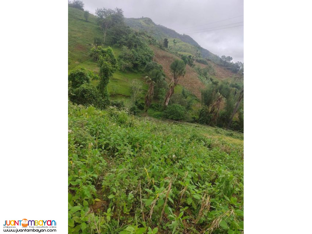 Lot for sale Cebu City Philippines 200/sqm