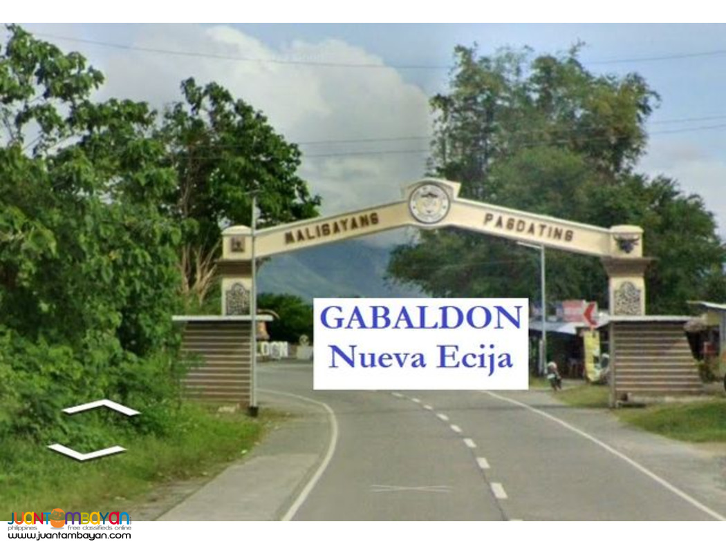 Nueva Ecija Lot for sale  in in Ligaya, Gabaldon   