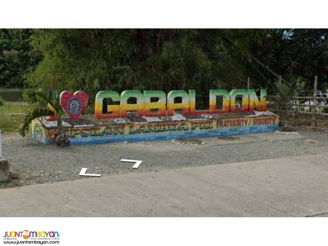 Nueva Ecija Lot for sale  in in Ligaya, Gabaldon   