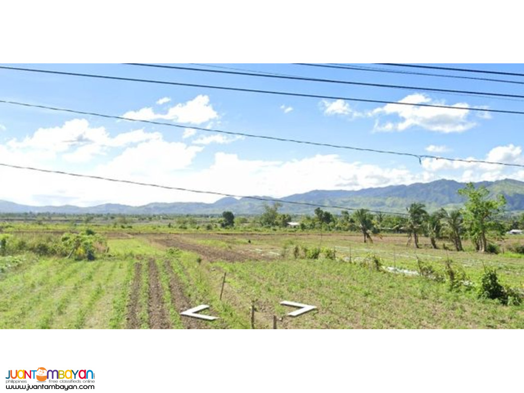 Nueva Ecija Lot for sale  in in Ligaya, Gabaldon   