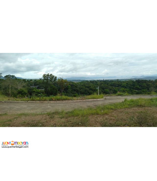 Lot for sale in Oro Vista Grande Inarawan Antipolo Rizal 