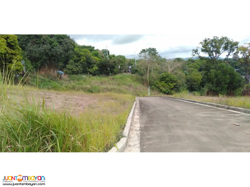 Lot for sale in Oro Vista Grande Inarawan Antipolo Rizal 