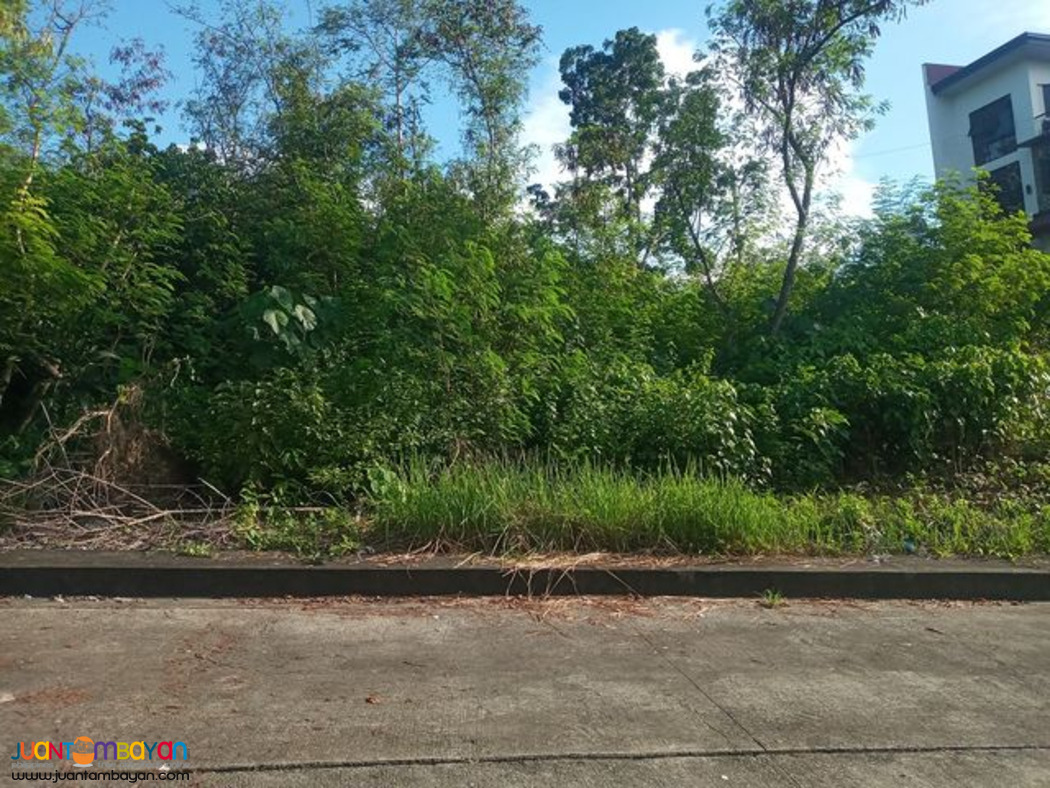 120 sqm lot for sale at Greenville Heights Casili Consolacion Cebu