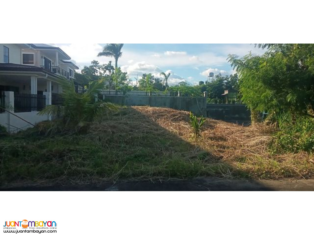 600 sqm lot for sale at Alta Vista Super high end subd Cebu City