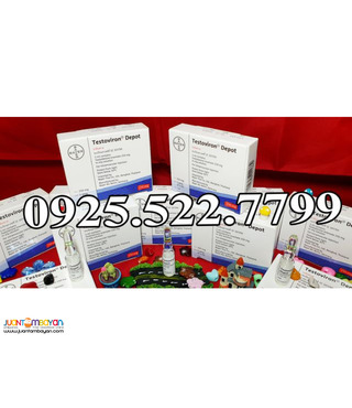 TESTOVIRON DEPOT - TESTOSTERONE ENANTATE 250MG