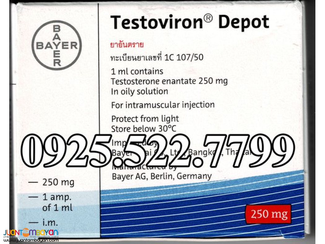 TESTOVIRON DEPOT - TESTOSTERONE ENANTATE 250MG