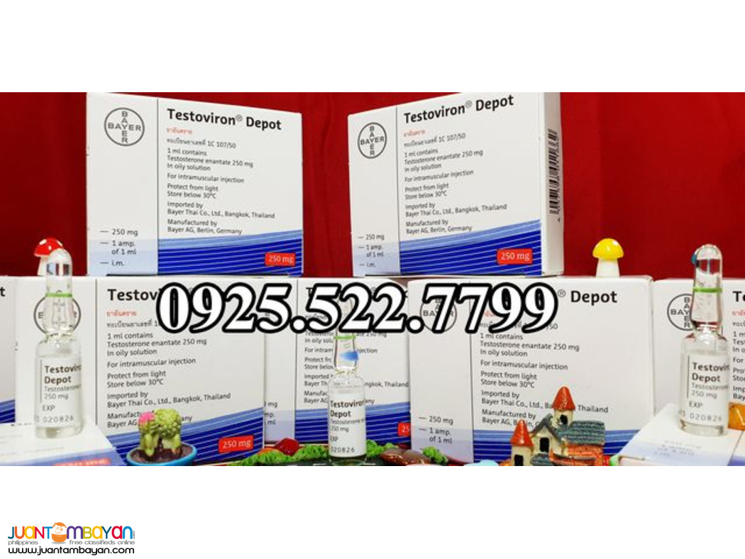 TESTOVIRON DEPOT - TESTOSTERONE ENANTATE 250MG