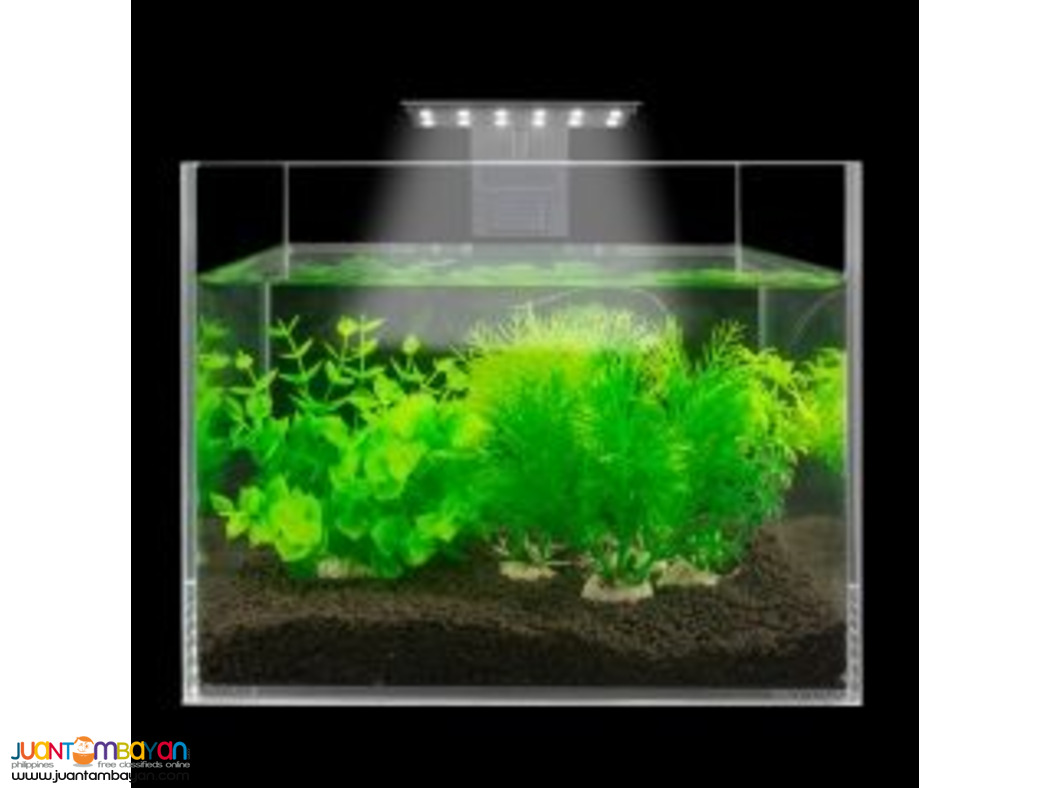 Aquarium LED Lights X3 - 6W & X7-10W