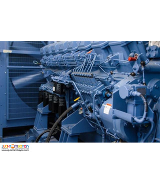 Generator Set Maintenance & GenSet Services